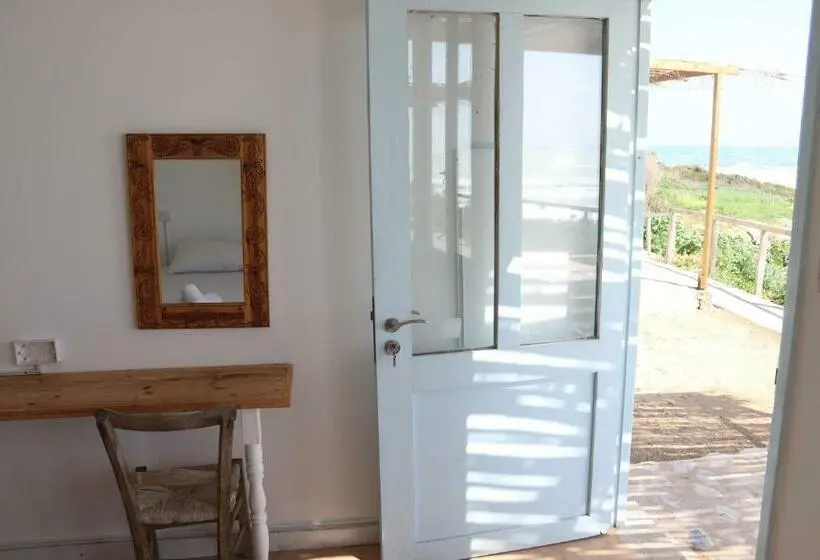 オーシャンビュースタンダードルーム, Summer Dream Cyprus