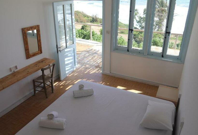 オーシャンビュースタンダードルーム, Summer Dream Cyprus