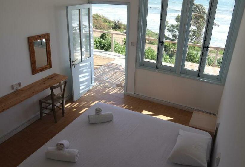 オーシャンビュースタンダードルーム, Summer Dream Cyprus