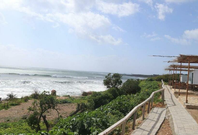 オーシャンビュースタンダードルーム, Summer Dream Cyprus