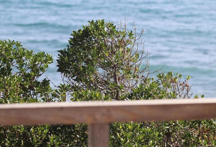 オーシャンビュースタンダードルーム, Summer Dream Cyprus