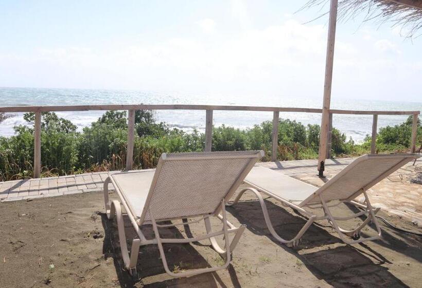 オーシャンビュースタンダードルーム, Summer Dream Cyprus