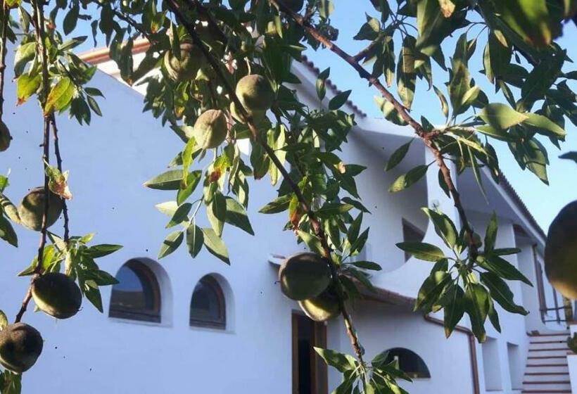 חדר סטנדרט נוף לים, Salmagilandia