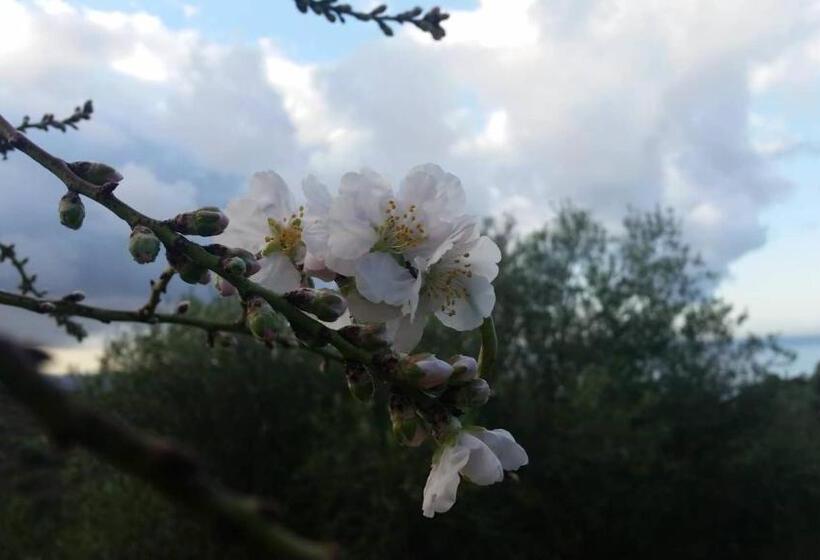 חדר סטנדרט נוף לים, Salmagilandia