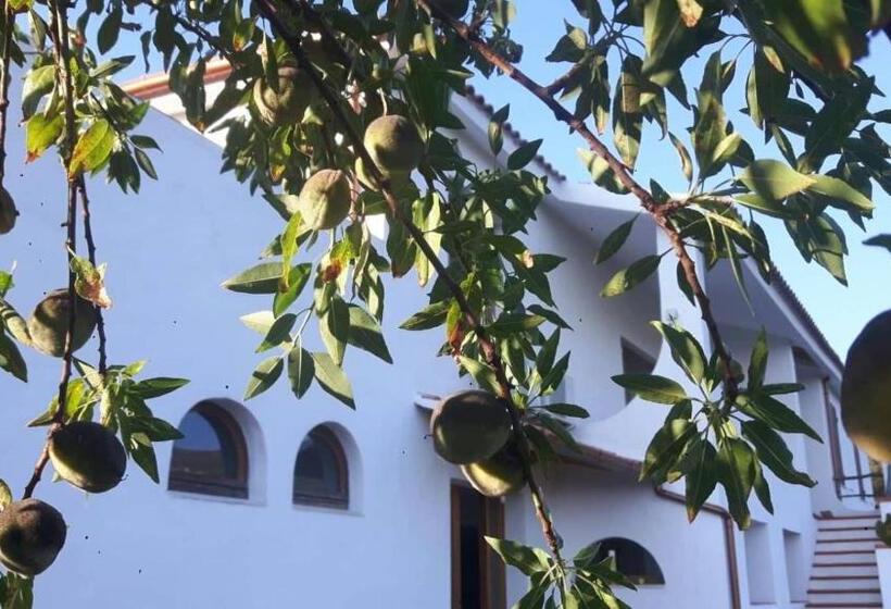 חדר משפחתי נוף להרים, Salmagilandia