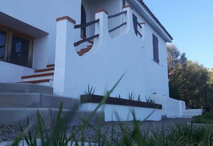 חדר משפחתי, Salmagilandia