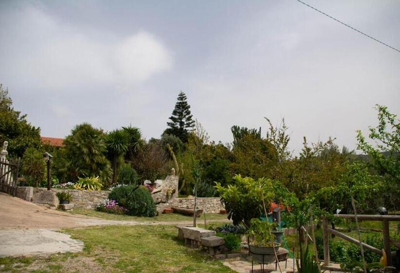 Стандартный Номер Кровать Кинг, B&b Il Giardino