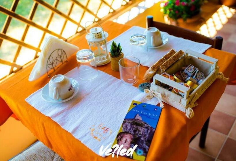 Standard-huone King-vuode, B&b La Terra Di Parmenide