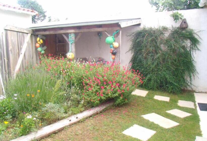 标准间, Les Bois Flottés En Ré