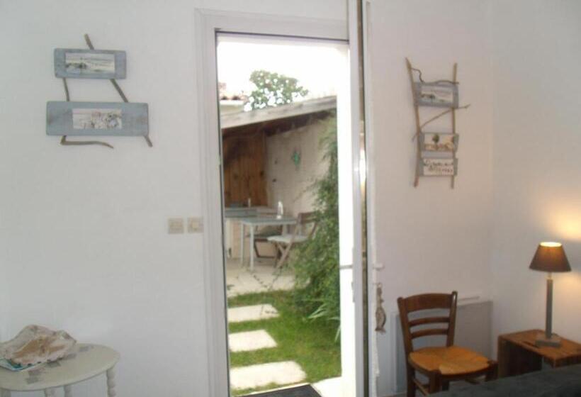 标准间, Les Bois Flottés En Ré