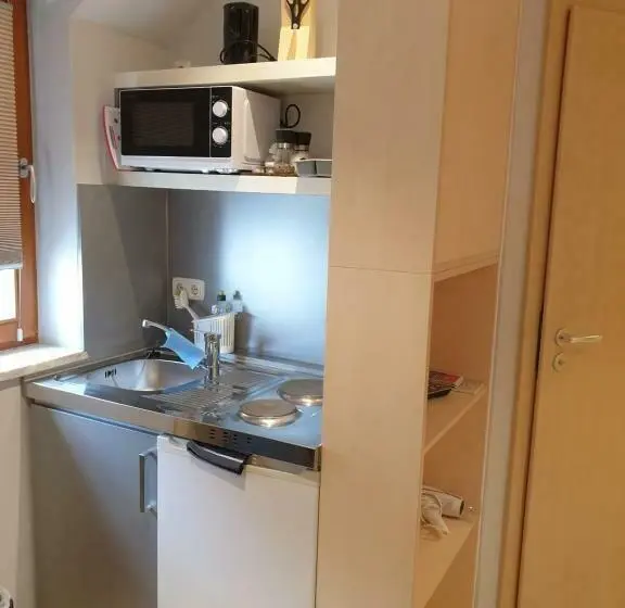 １ベッドルームアパートメント, Hausner`s Hotel  Studio Apartments