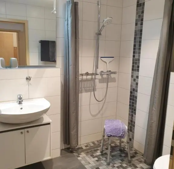 １ベッドルームのデラックスアパートメント, Hausner`s Hotel  Studio Apartments