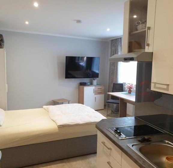 Апартаменты 1 Спальня Нижний Этаж, Hausner`s Hotel  Studio Apartments