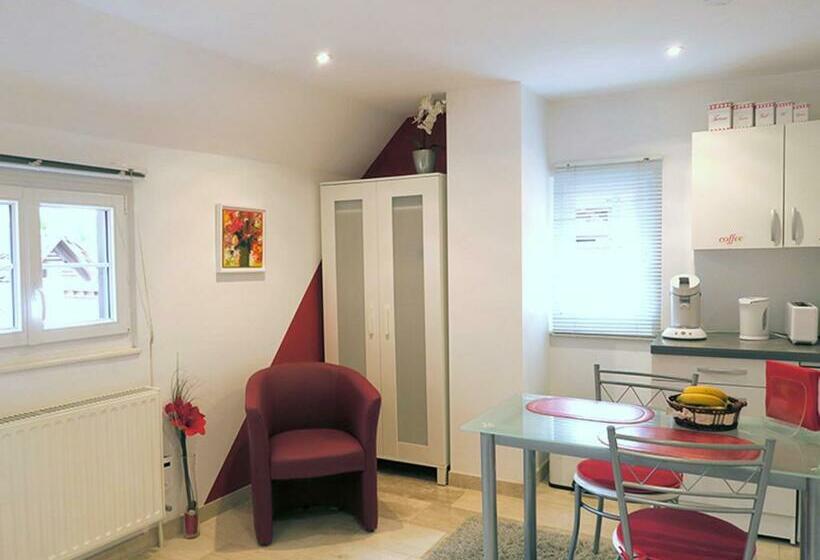 غرفة قياسية, La Cour Des Amis