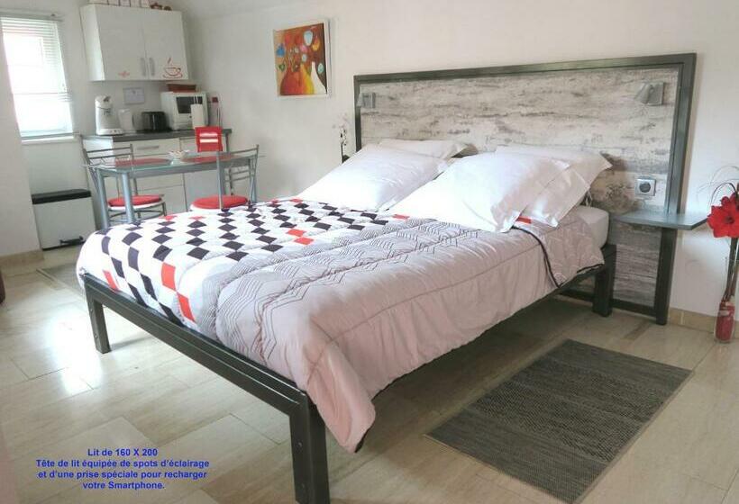 غرفة قياسية, La Cour Des Amis