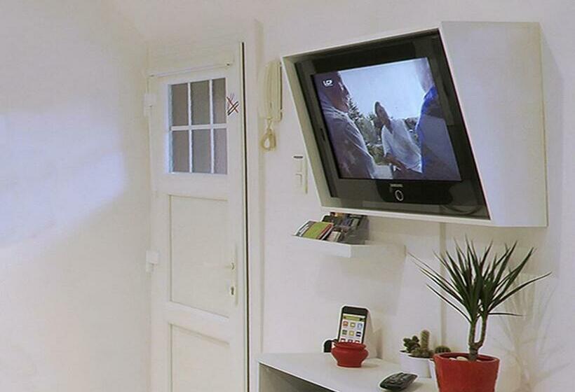 غرفة قياسية, La Cour Des Amis