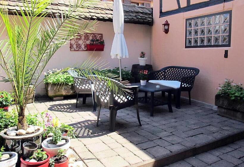 غرفة قياسية, La Cour Des Amis