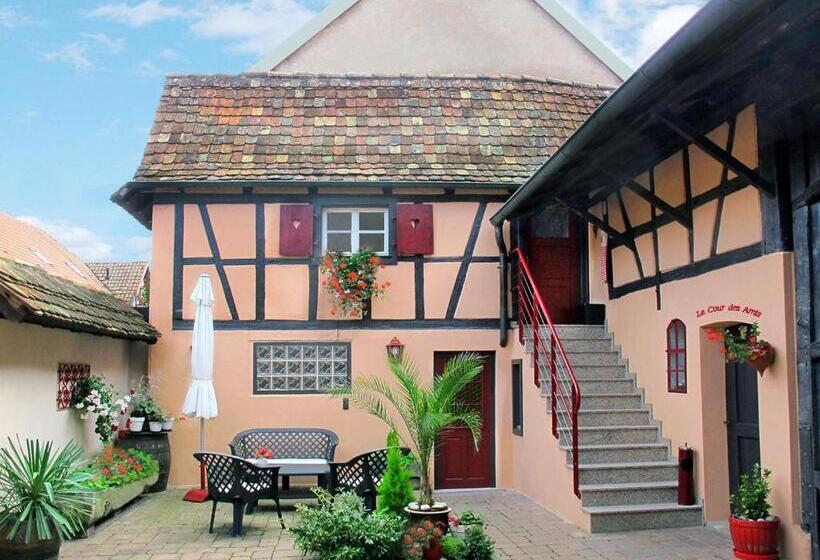 غرفة قياسية, La Cour Des Amis