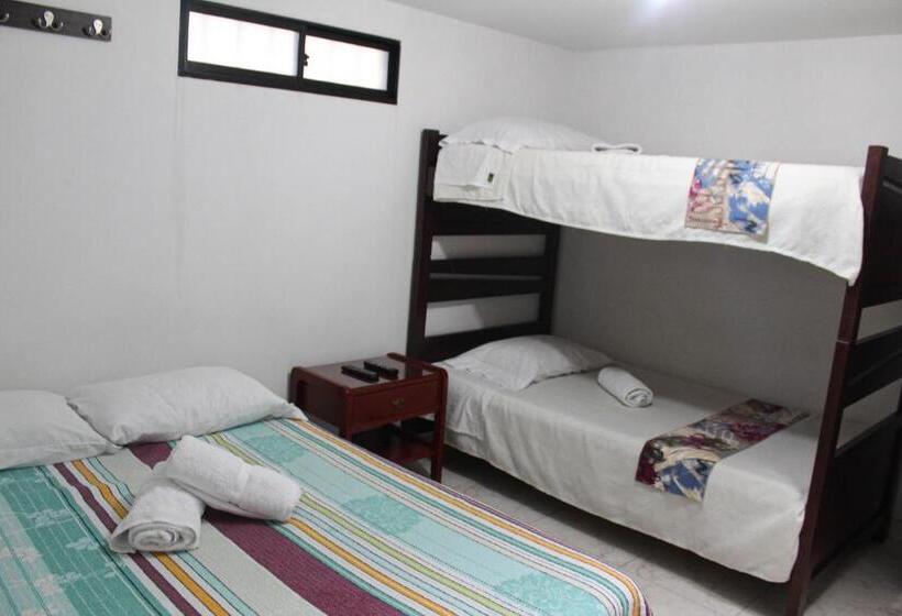 베이직 3인 룸, El Cable Hostal
