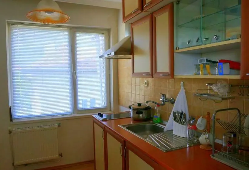 Apartament 2 Dormitoare, Guest House Simona