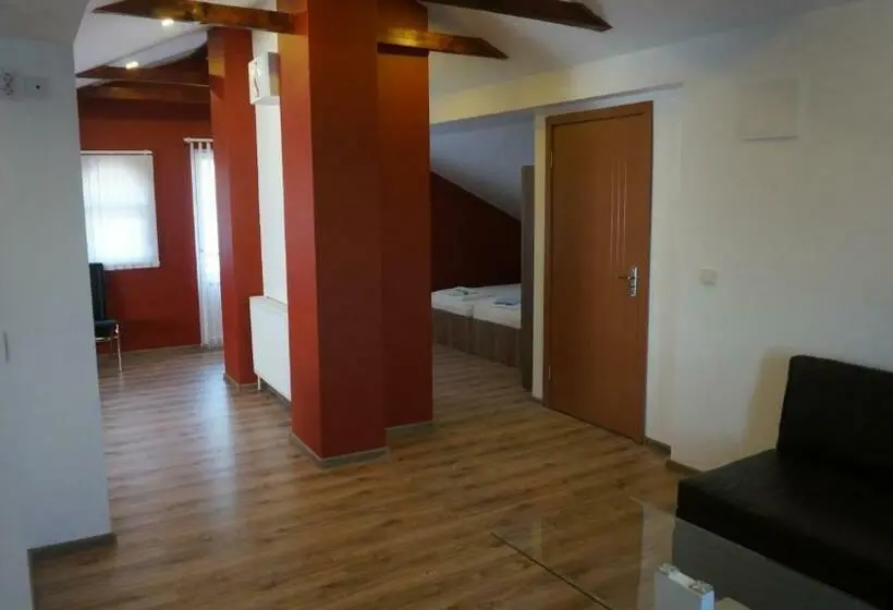Apartament 1 Dormitor, Guest House Simona