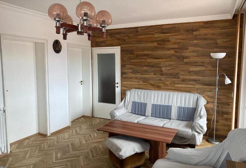 1 Bedroom Apartment Mountain View, Guest House Simona