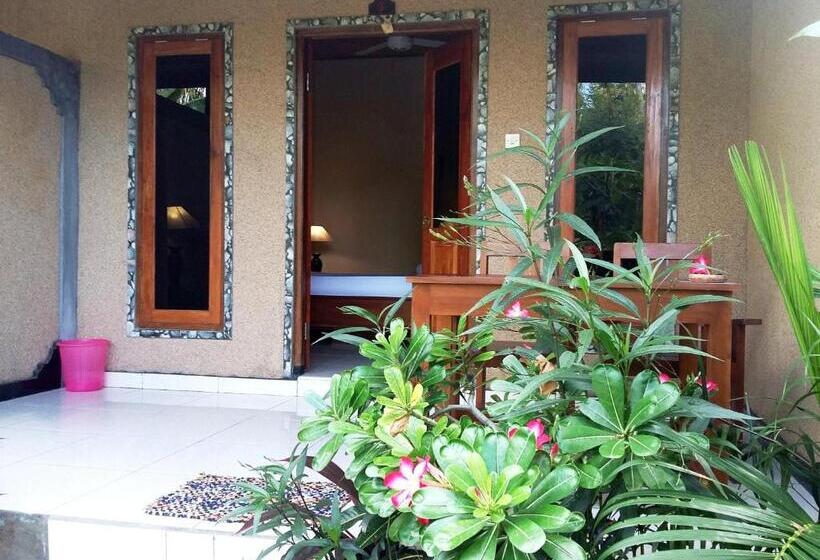 חדר סופריור, Molleh Guest House