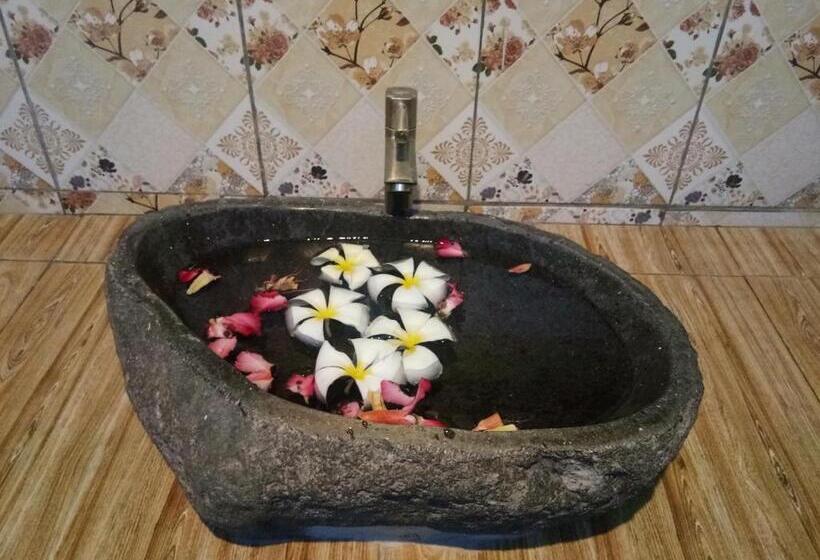 חדר סופריור, Molleh Guest House