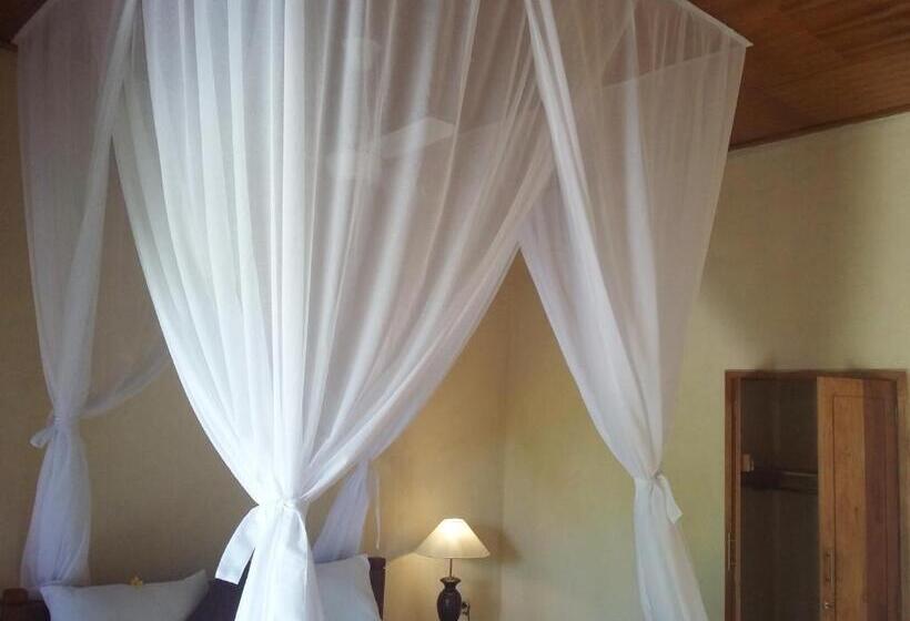 חדר סופריור, Molleh Guest House