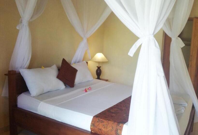 חדר סופריור, Molleh Guest House