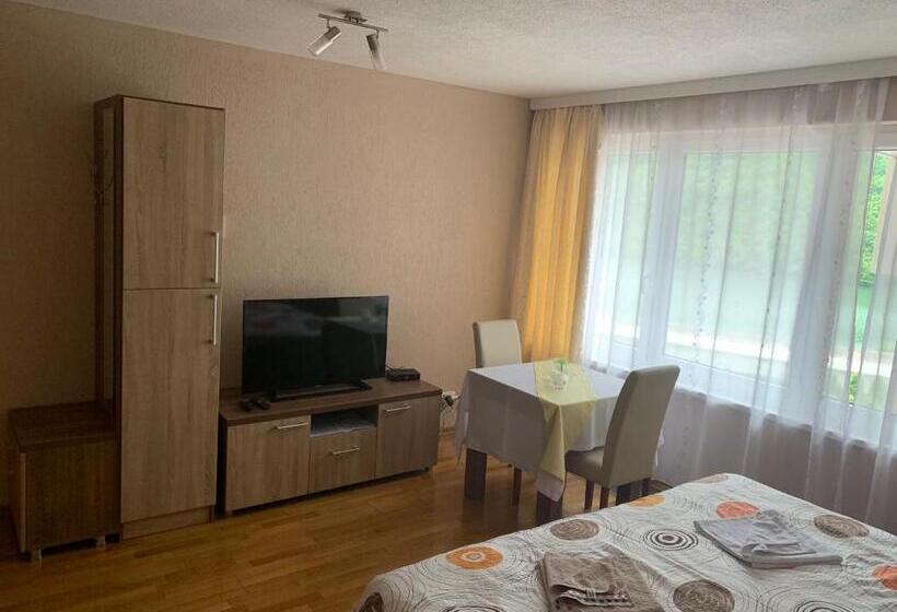 اتاق استاندارد, Panorama Resort