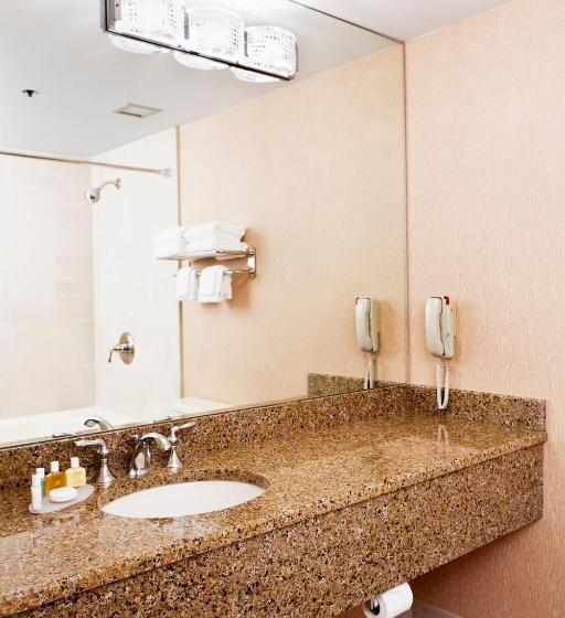 اتاق استاندارد با تخت بزرگ, Ann Arbor Regent Hotel And Suites