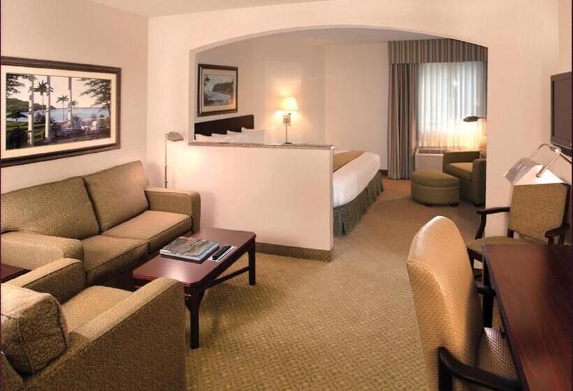 اتاق اجرایی با تخت بزرگ, Ann Arbor Regent Hotel And Suites