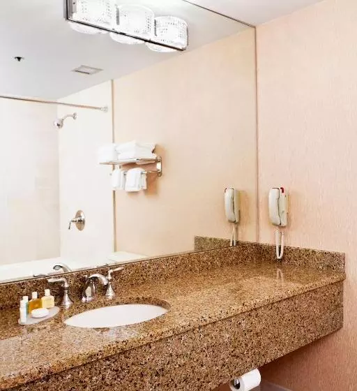 سوئیت با تخت بزرگ, Ann Arbor Regent Hotel And Suites