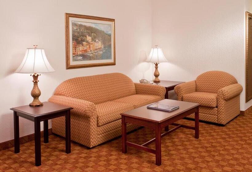 سوئیت با تخت بزرگ, Ann Arbor Regent Hotel And Suites