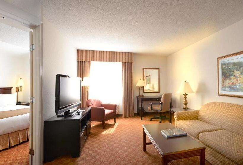 سوئیت با تخت بزرگ, Ann Arbor Regent Hotel And Suites