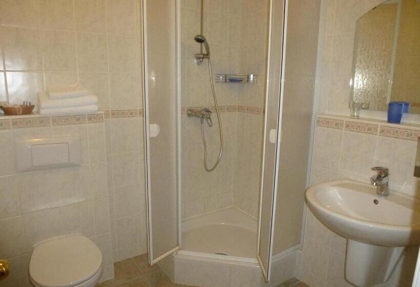 Номер Superior с Террасой, Albergo Giardino