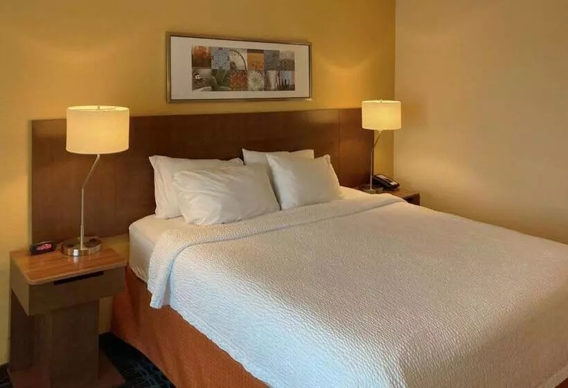 キングサイズベッドのスタンダードルーム, Comfort Inn & Suites Ankeny  Des Moines