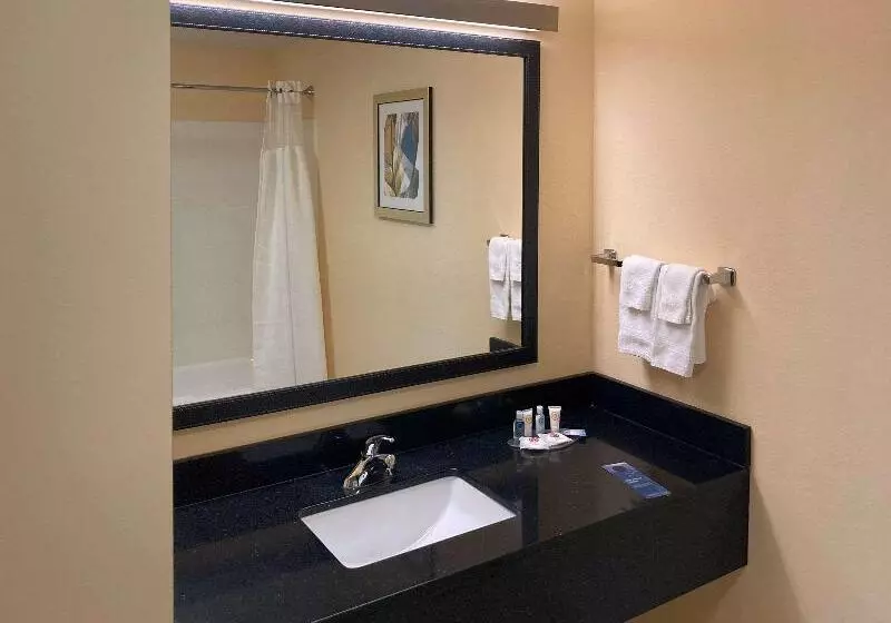 身障者適用キングサイズベッドルーム, Comfort Inn & Suites Ankeny  Des Moines