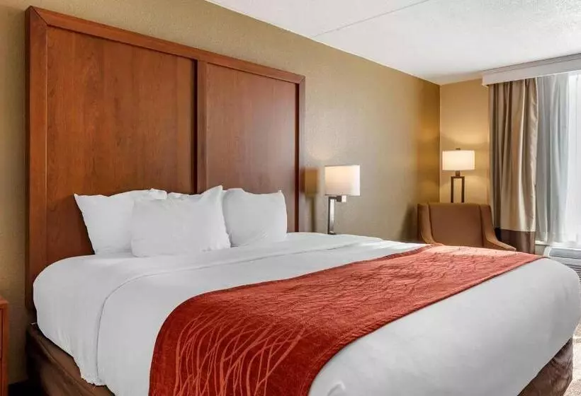 キングサイズベッドのスタンダードルーム, Comfort Inn & Suites