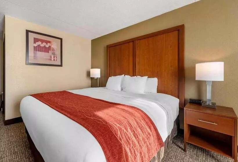 キングサイズベッドのスタンダードルーム, Comfort Inn & Suites