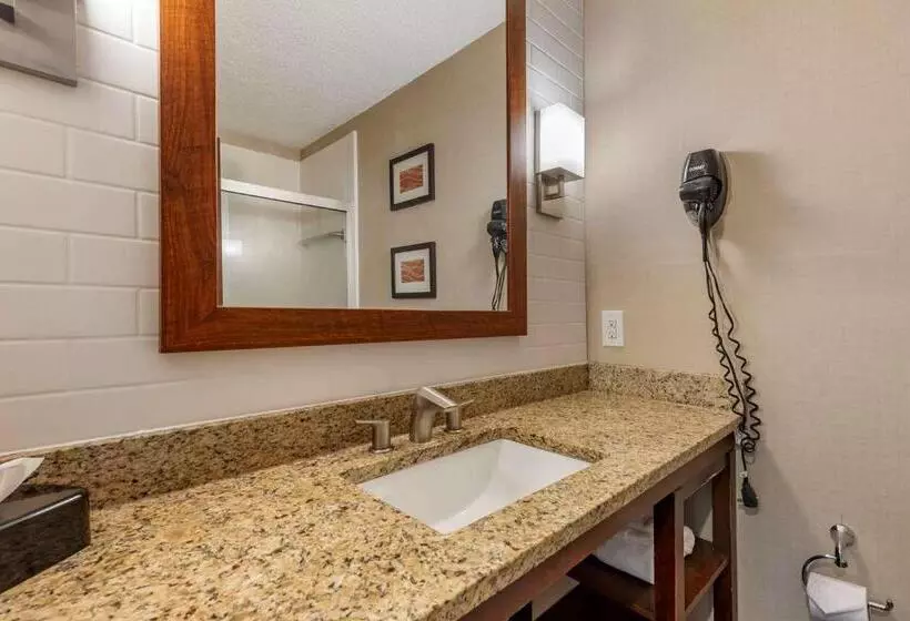 スタンダードルーム, Comfort Inn & Suites