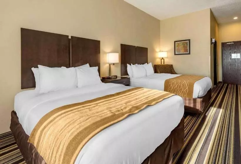 スタンダードルーム, Comfort Inn & Suites
