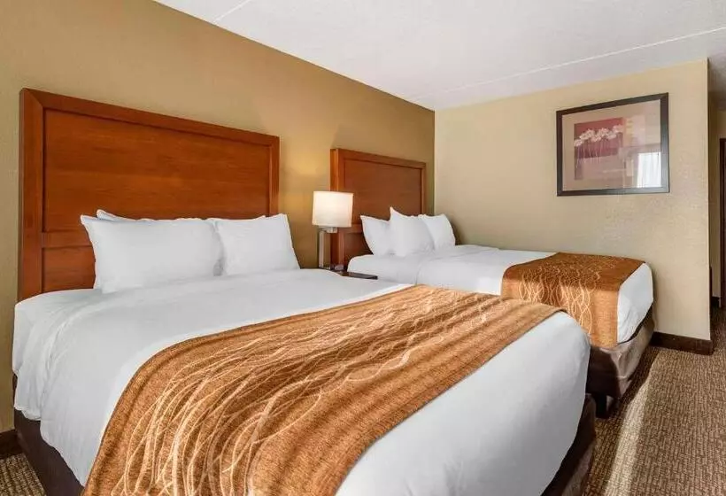 スタンダードルーム, Comfort Inn & Suites