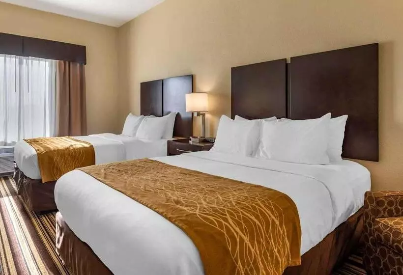 身障者適用スタンダードルーム, Comfort Inn & Suites