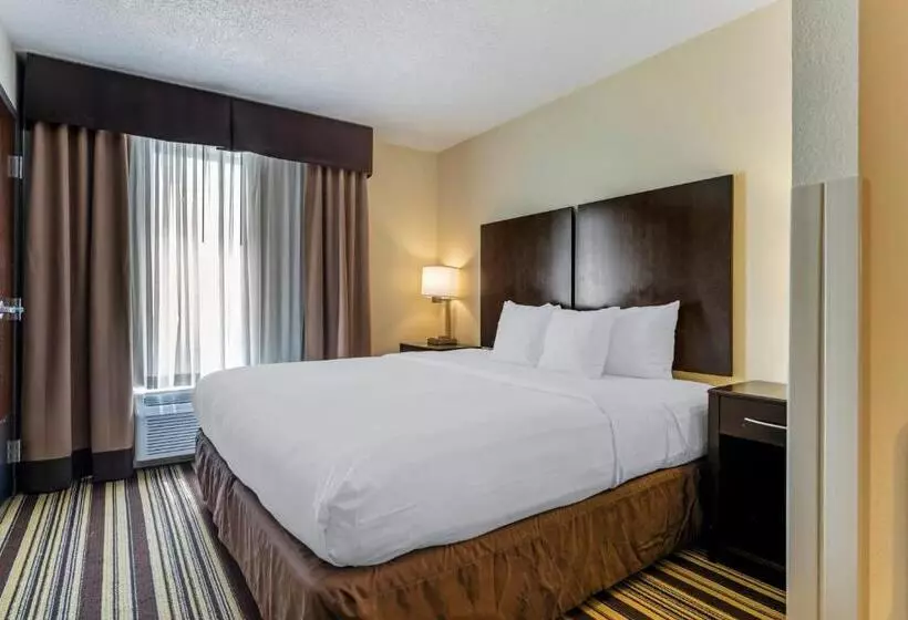 キングサイズベッドのスイートルーム, Comfort Inn & Suites