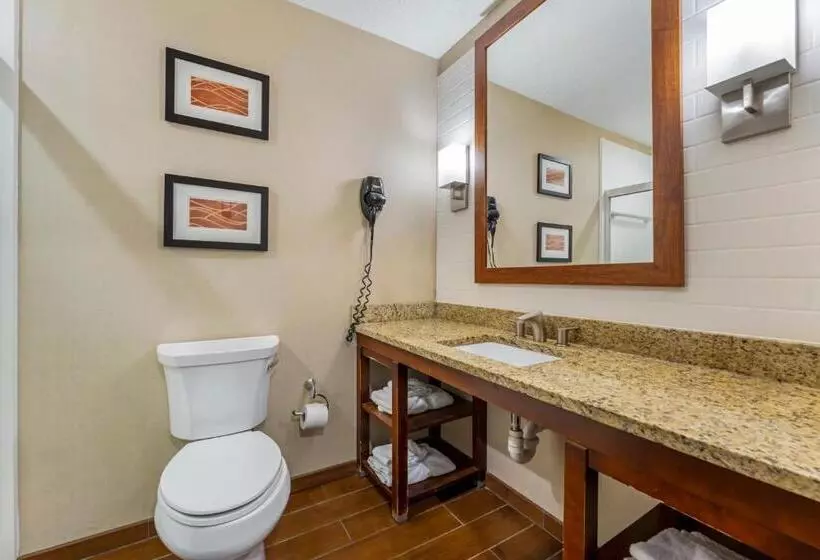 スイート, Comfort Inn & Suites