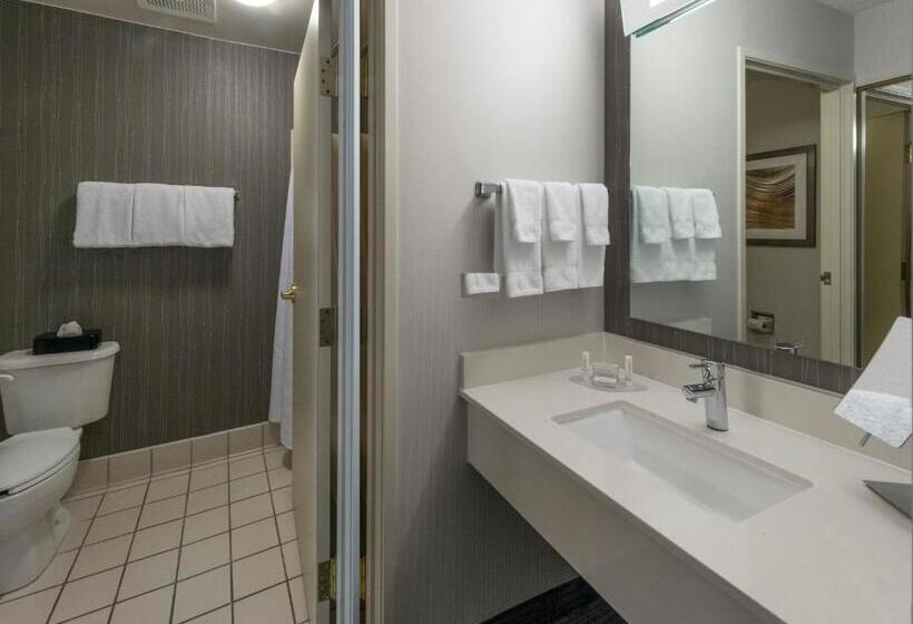 Standart Oda, Courtyard By Marriott Lakeland