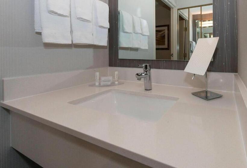 Engelliler için Küçük Çift Kişilik Yataklı Standart Oda, Courtyard By Marriott Lakeland