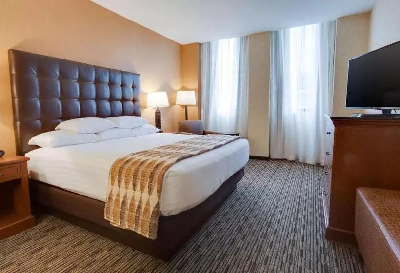 キングサイズベッド、ビュー付きデラックスルーム, Drury Plaza St Louis At The Arch